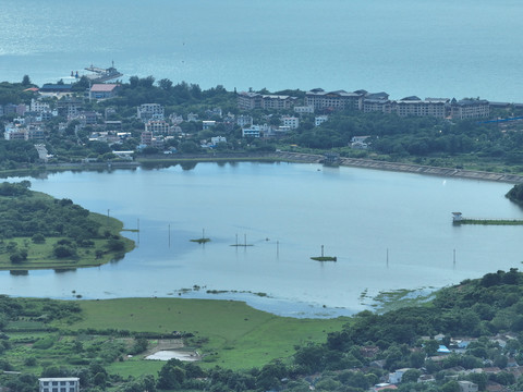 海岛