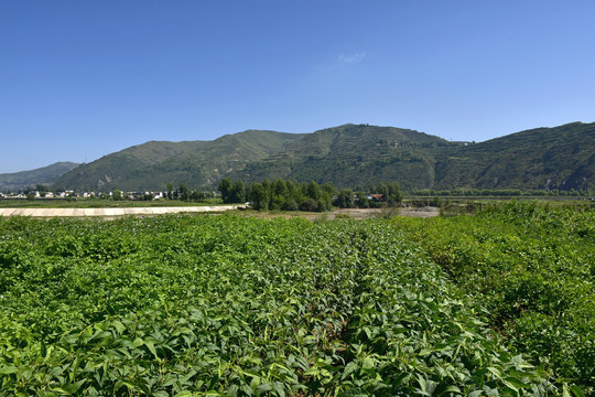 乡村风光