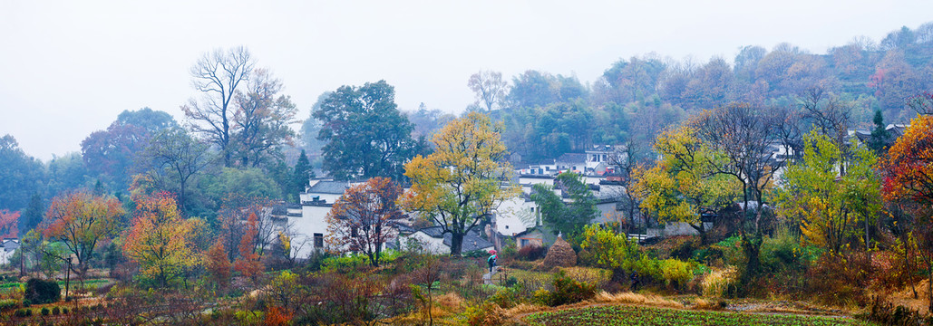 塔川村全景图