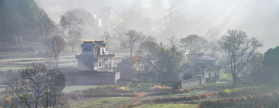塔川村全景圖