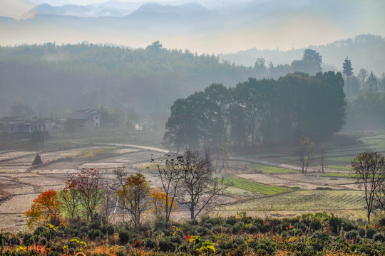 塔川村