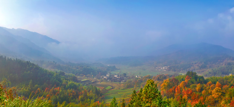 协里村全景图