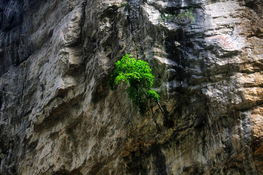 织金洞绮结河景区