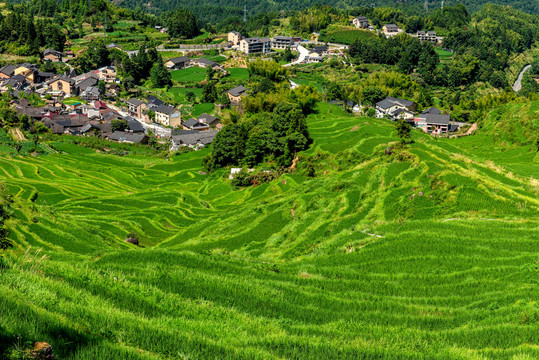 云和梯田