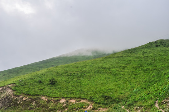 高原风景