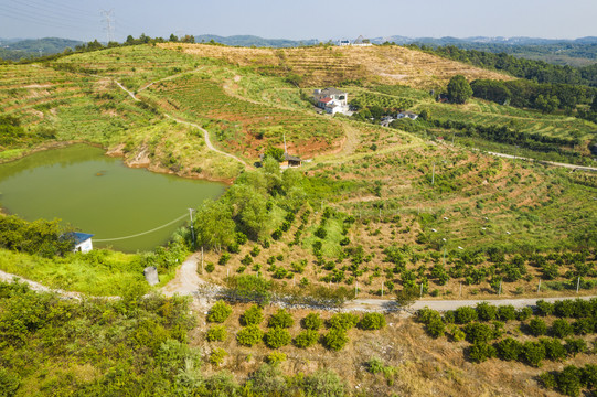 梯田