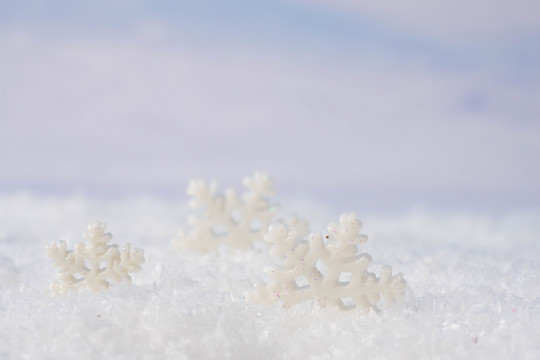 冬季雪景