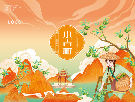 小青柑包裝