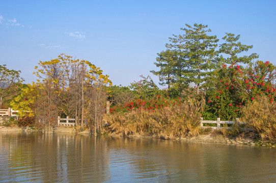 晋江南岸生态公园湿地景观