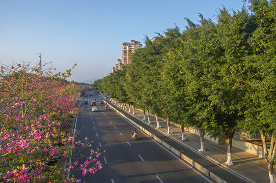 泉州江滨北路路况