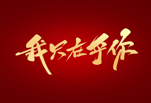 我只在乎你