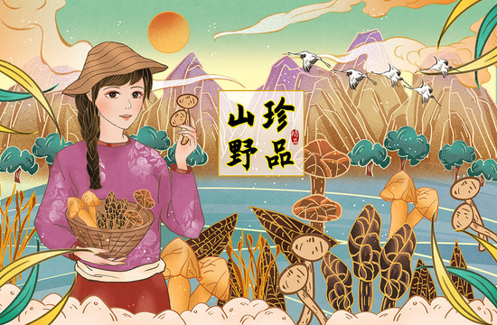 菌菇山珍禮盒插畫包裝