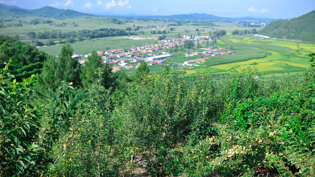 鄉村新農村遠山