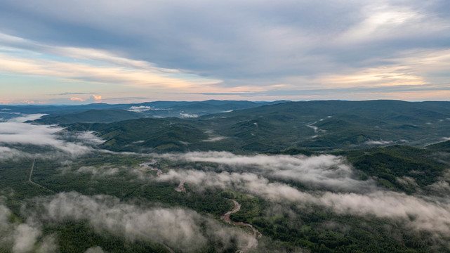 山川森林