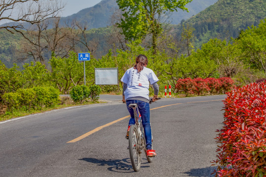 宏村村外公路