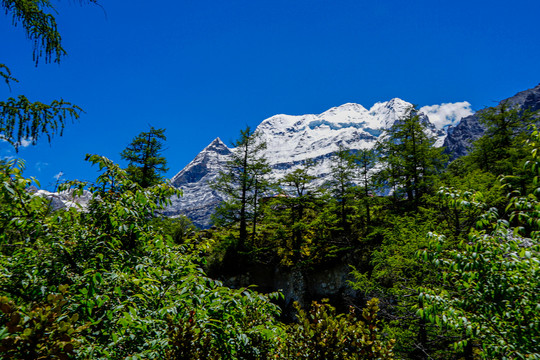 贡嘎雪山