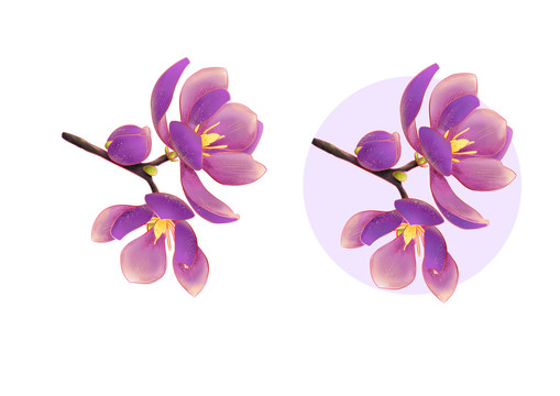 国潮国风新中式紫色玉兰花