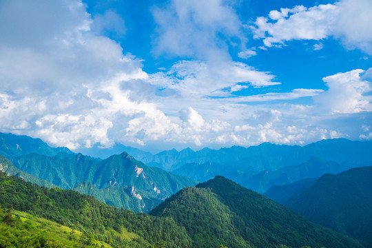 神农顶景区天际岭高山森林云海