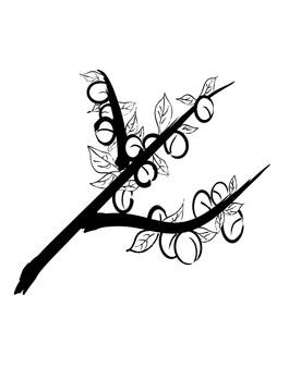 杏樹(shù)