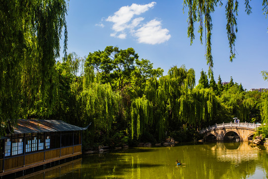 昆明莲花池公园