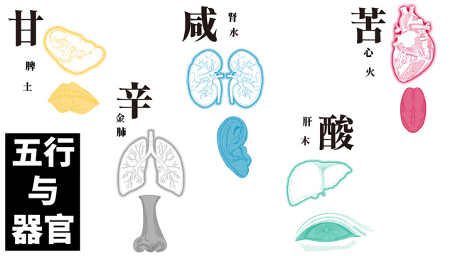 五行与器官