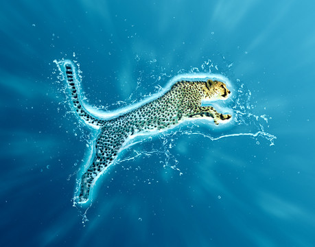 水特效獵豹