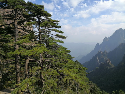 黄山风景