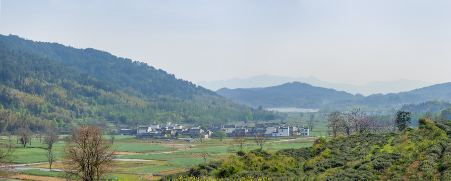 塔川村全景图