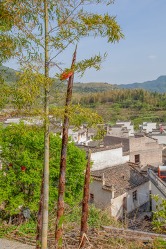 塔川村