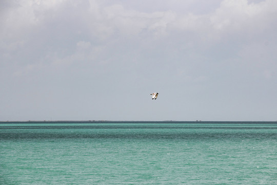 青海青海湖