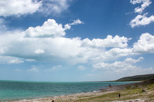 青海青海湖