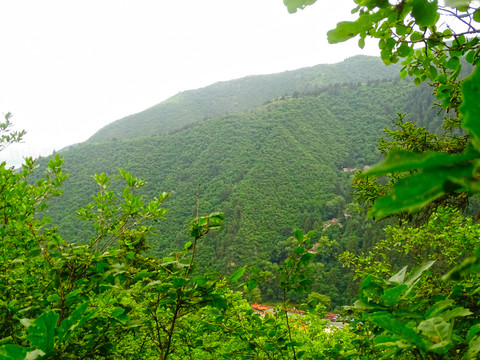 自然风景区