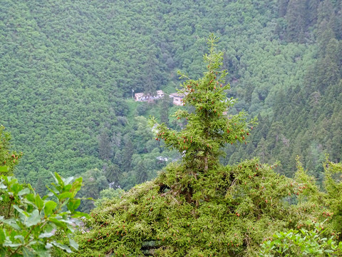 山顶景色