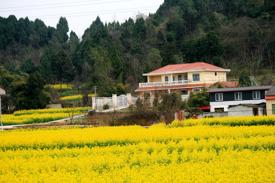 农家田园