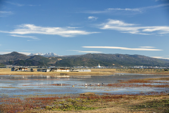 香格里拉纳帕海湿地公园