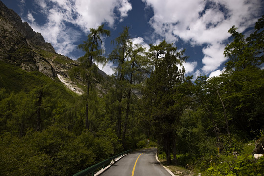 山林公路