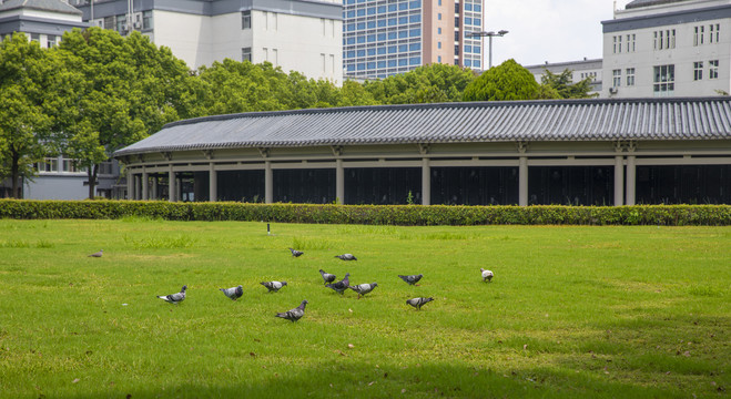 浙江中医药大学