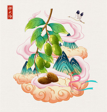 中草藥胖大海手繪插畫(huà)