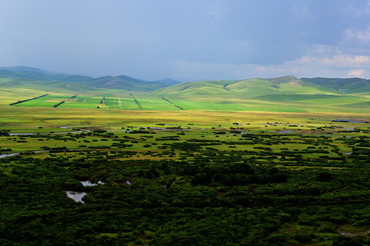 额尔古纳湿地