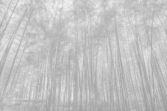 圓點竹林激光鏤空