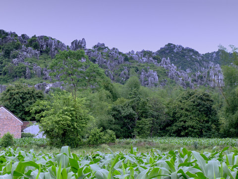 玉米地山村