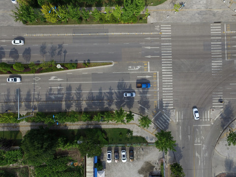 道路交通斑马线