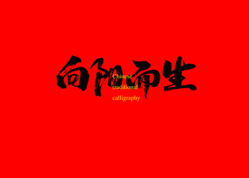 向陽而生