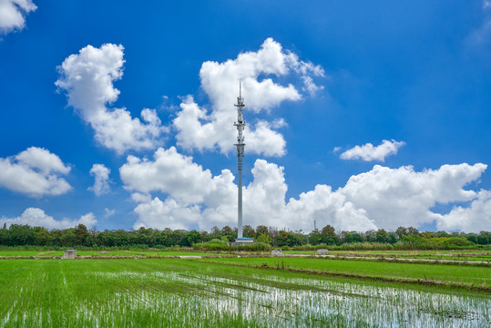 5G單管塔