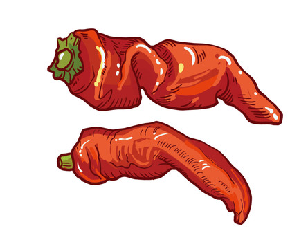 新疆大辣椒新疆肉椒插畫分層