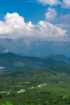 青海群加森林