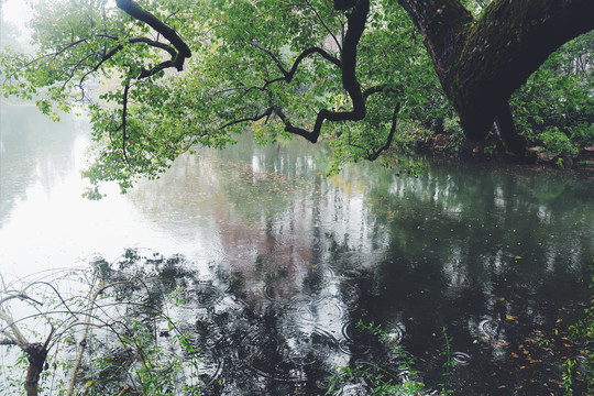 湖景