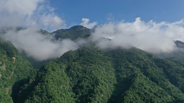 航拍秦岭山脉云雾缭绕原始森林
