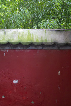 寺庙红墙上的翠竹