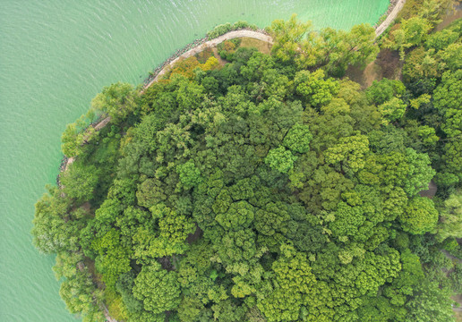 航拍绿树湖面